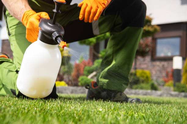 Reliable Lake Havasu City, AZ Pest Control Solutions