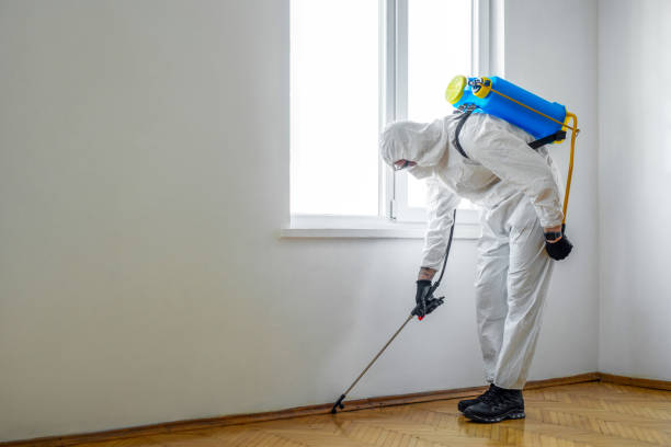 Wildlife Control Services in Lake Havasu City, AZ